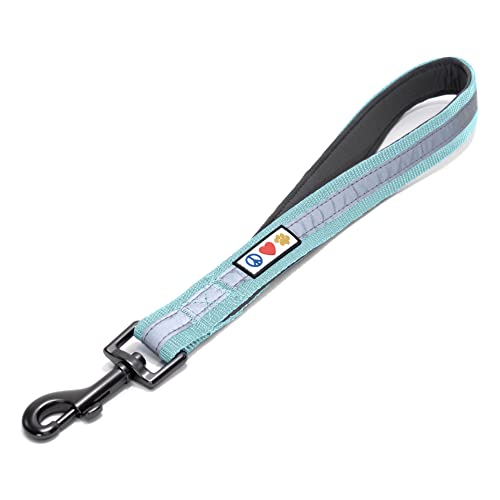 Pawtitas Short Reflective Dog Leash Amazing Comfort with Padded Handle for Heavy Duty Training Medium Large and Extra Large Dogs | Nylon Dog Lead with Webbing Highly Reflective Stripe - Teal Leash - color: Teal, size: Padded 1 Ft Leash