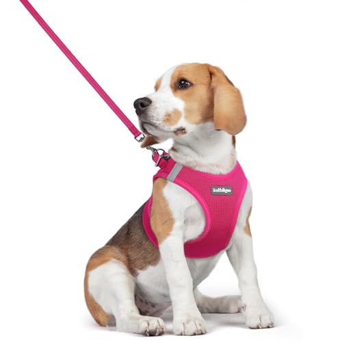 rabbitgoo Dog Harness Small Medium Sized and Leash Set, Step in Soft Light Puppy Vest, Breathable Mesh Pet Harness, Reflective for Safe Easy Walking, Rose Red L - color: Rose Red, size: L (chest: 18.2 - 20.5")