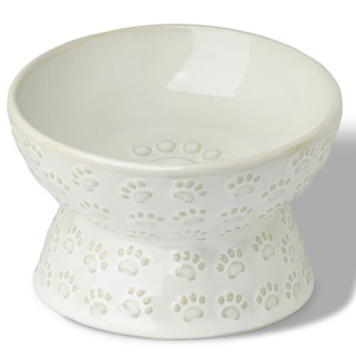 GDCZ Elevated Ceramic Puppy Bowl, 5 Oz Raised and Tilted Water Bowl, Pet Bowl for Small Dog, Fat Faced Cat, Kitten (White) - color: White