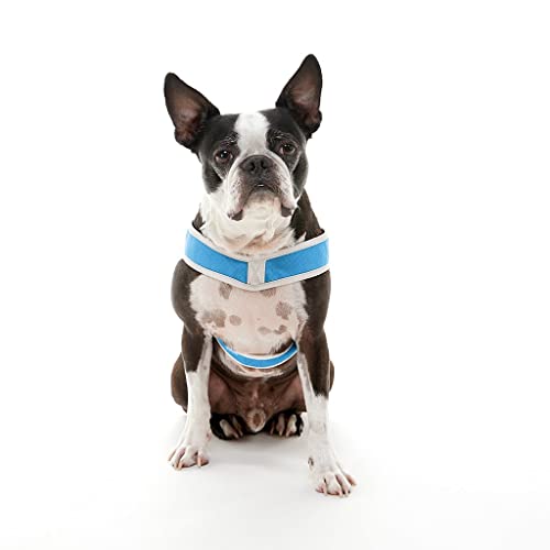 Gooby Simple Step in III Harness - Blue, Large - Small Dog Harness with Scratch Resistant Outer Vest - Soft Inner Mesh Harness for Small, Medium Dogs - color: Blue, size: Large chest (18.5∼23.75")