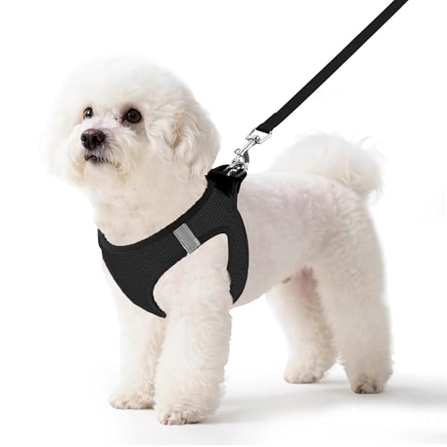 Pet Harness No Pull for Small Dogs and Cats, Adjustable Hook & Loop Fastener with Snap Buckle and Double D-Rings, 0.55FIT Breathable Mesh, Black, S - color: Black, size: S