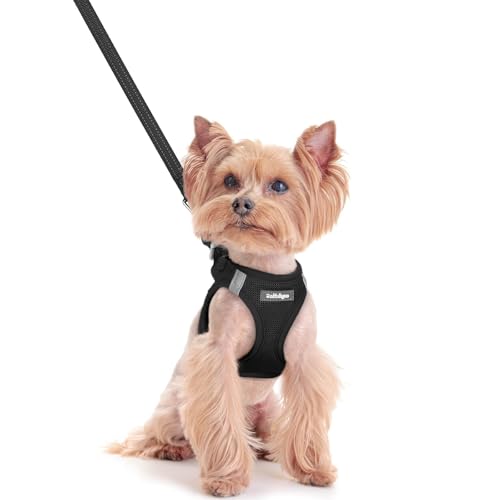 rabbitgoo Dog Harness Small Sized and Leash Set, Step in Soft Light Puppy Vest, Breathable Mesh Pet Harness, Reflective for Safe Easy Walking, Black XXS - color: Black, size: Xxs (chest: 12.4 - 14.2")