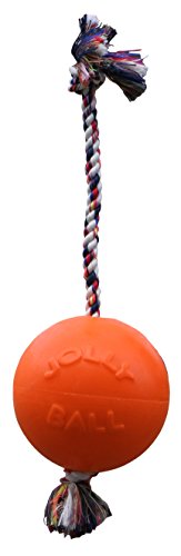 Jolly Pets Romp-n-Roll Rope and Ball Dog Toy, 8 Inches/Large, Orange - color: Orange, size: Large (8 in)