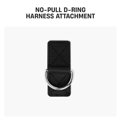 Dog Friendly Co. No-Pull D-Ring Harness Attachment | Front D-Ring Attachment for Greater Control, Prevents Pulling, Great for Training, Easily Attaches to Harness | Size XXS-XS - size: XXS-XS