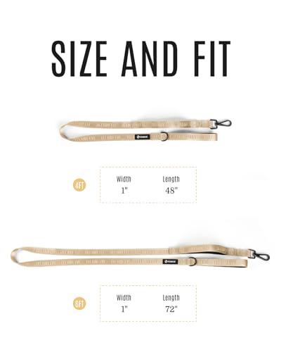 Fei & Eve Classic Dog Leash - 6FT, Dual Padded Handles, 360° Swivel Hook, Heavy Duty 210D Nylon - No-Pull Design with Traffic Control Handle - for Small/Medium/Large Dogs, Champagne - color: Champagne, size: 6FT