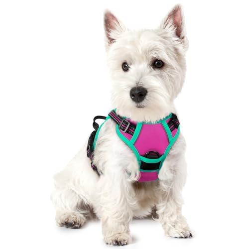 rabbitgoo Dog Harness No Pull with 2 Leash Clips, Adjustable Soft Padded, Reflective Oxford No Choke Pet Vest with Easy Control Handle for Large Dogs, Hot Pink & Turquoise, XS - color: Hot Pink & Turquoise, size: X-Small