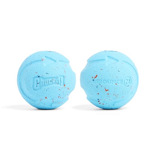 Chuckit! Rebounce Ball Dog Toy - Bouncy Fetch Balls for Dogs 20-60 lbs - Made from Durable Rubber - Outdoor Pet Toys - Size Medium - 2.5-inch Diameter - Pack of 2 - Blue