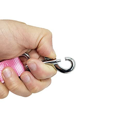 Nylon Dog Training Leash, Traction Rope, 4/5/6 Feet Long, 3/4 Inch 1 Inch Wide, for Small and Medium Dogs (1'' x 4 FT, Pink) - color: Pink, size: 1'' x 4 FT
