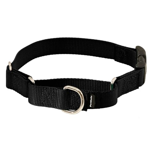 PetSafe Martingale Dog Collar with Quick-Snap Buckle - Petite, 3/8 Inch, Black