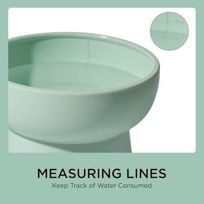 Necoichi 2pcs Elevated Cat Water Bowls with Measurement – BPA-Free Plastic Raised Bowls to Reduce Whisker & Neck Fatigue – Dishwasher Safe – Non-Slip, Anti-Vomiting (Ocean Mist) - color: Blue Green and Green (Ocean Mist)