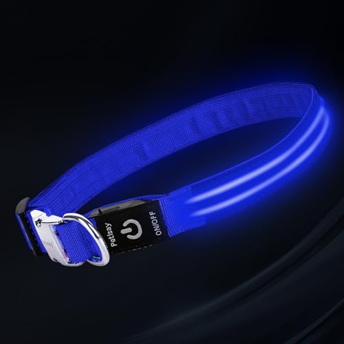 LED Dog Collar with Metal Buckle - USB Rechargeable Glow Collar for Dogs, Waterproof Light Up Dog Collar w/Reflective Strips - Adjustable Night Safety Collars by PetIsay(Blue,Medium) - color: Blue(Fiber optic version), size: Medium (14½ " - 19½ " )