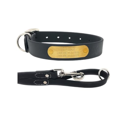 Regal Dog Products Small Black with Custom Engraved Waterproof Dog Collar and Leash Set | Waterproof Dog Collar with Double Buckle & D Ring - 5'ft Leash | Matching Dog Collar and Leash for Dogs - color: Black, size: Small Collar with leash