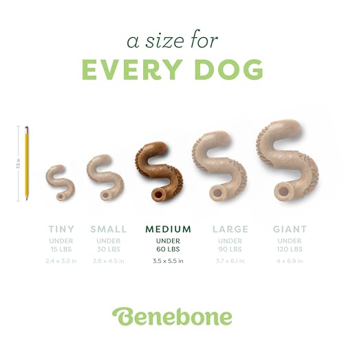 Benebone Tripe Bone Durable Dog Chew Toy for Aggressive Chewers, REAL Beef, Made in USA, Medium - size: Medium, style: Chew Toy