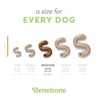 Benebone Tripe Bone Durable Dog Chew Toy for Aggressive Chewers, REAL Beef, Made in USA, Medium - size: Medium, style: Chew Toy