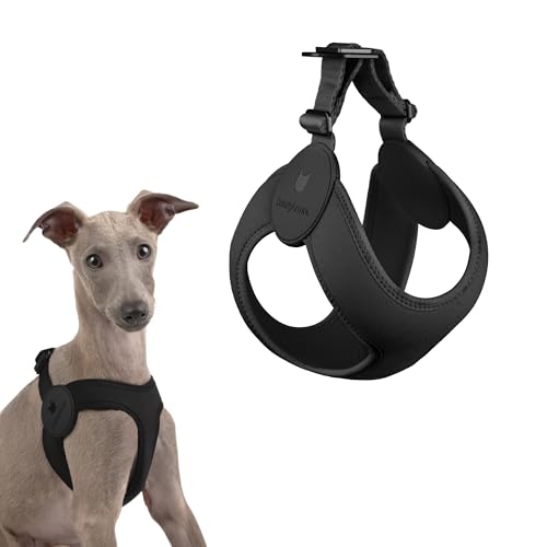 Ultra Comfortable Dog Harness Adjustable Soft Dog Vest, Alloy Buckle Closure Lightweight Stretchy Puppy Harness Step in for Small Sized Dogs Walking Training (Midnight Black, M) - color: Midnight Black, size: XL / M 21.8-24.6"