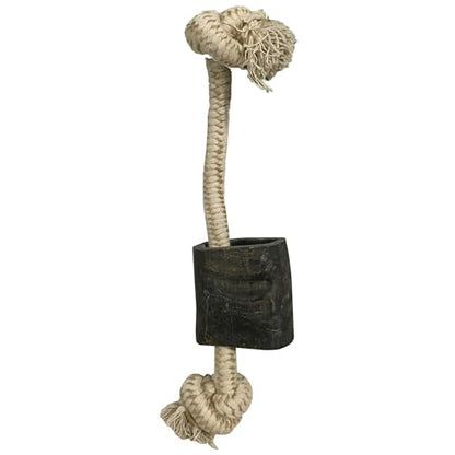 QT Dog Mossy Oak: Water Buffalo Horn & Tug Dog Chew - 12" Knotted Natural Cotton Rope, Pet Toy, No Preservatives, Horn, Long-Lasting, Combines Play & Chewing - style: 12"