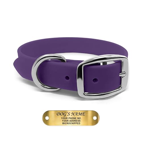 Regal Dog Products Medium Purple Waterproof Dog Collars with Custom Engraved Name Plate | Vinyl Coated, Anti, Easy to Clean Personalized Dog Collar - Other Sizes for Small & Large Dogs - color: Purple, size: Medium Collar