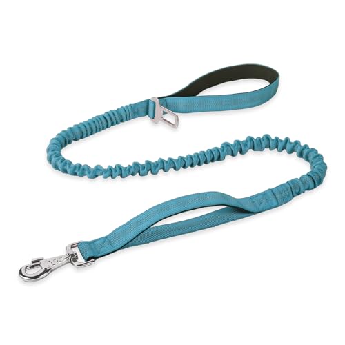 BUMBIN 6Ft Dog Leash Large Dogs, Bungee Dog Leash with 2 Handles, Heavy Duty Leashes for Medium Small Dogs, No Pull Shock Absorbing，with Car Seat Belt for Training, Blue - color: Blue