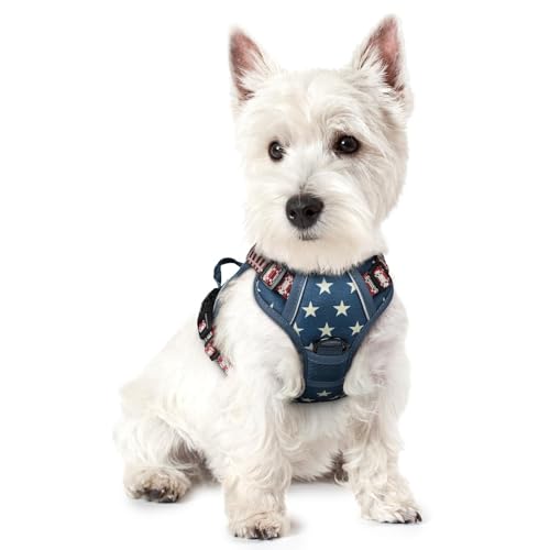 rabbitgoo Dog Harness No Pull with 2 Leash Clips, Adjustable Soft Padded, Reflective Oxford No Choke Pet Vest with Easy Control Handle for Large Dogs, Blue Star, XS - color: Blue Star, size: X-Small
