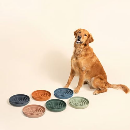 Should We Go? Slow Feeder for Dogs & Puppies, The Slowdown Bowl Silicone Slow Eating, Modern Lick Mat Design, Reduces Gulping, Fits 2.5 Cups, 9.5” Across x 1.5” Tall, Mealtime Challenge, Large-Blush - color: Blush - Rainbow Design, size: Large (9.5” Acros