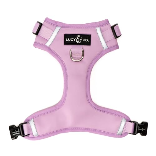 Lucy & Co. The Bouquet No-Pull Dog Harness - Size Small - Vest to Stop Pulling & Walk Easy - Comfortable Leash Training Product w/Adjustable Chest & Neck Straps - color: The Buquet No-Pull Harness, size: Small