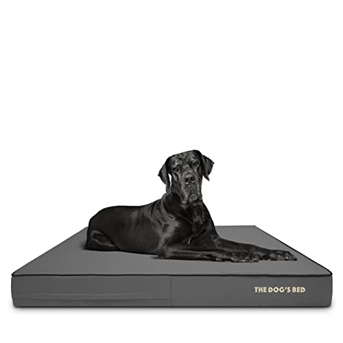 The Dog’s Bed Orthopedic Memory Foam Dog Bed for XXL Dogs, Waterproof Washable Cover, Anti-Slip Base, Calming Surface – CertiPUR-Certified Foam, Grey with Black Trim, 6 Inch Thick - color: Grey with Black Trim, size: XXL Beds (6" deep)