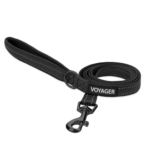 Best Pet Supplies Voyager Reflective Dog Leash or Collar with Neoprene Handle, for Small, Medium, and Large Breed Puppies, Cute and Heavy Duty for Walking, Running and Training - Black (Leash), L - color: Leash (Black), size: Large (1" x 6ft)