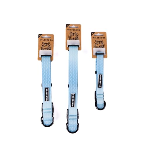 Wilderdog Waterproof Dog Collar - Repels Water & Dirt - Small 11"-15" - Saltwater - color: Saltwater, size: Small