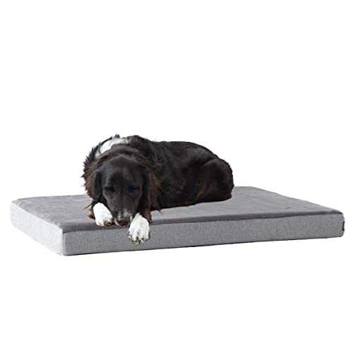 Barkbox Orthopedic Dog Bed with Memory Foam, Premium Comfort for Dogs and Puppies, Large Sized Dog Bed for Joint Relief and Restful Sleep, Durable and Easy to Clean - Grey, Large - color: Grey, size: Large