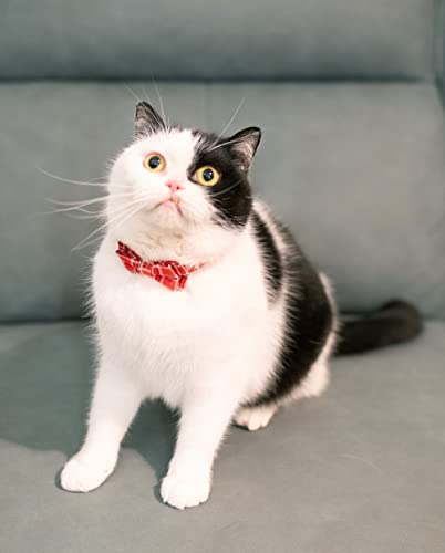 Cat Collar Breakaway Bowtie Safety with Bell Adjustbale Kitten Puppy Solid Plaid Color Set J-[2pcs] Red - color: J-[2pcs] Red