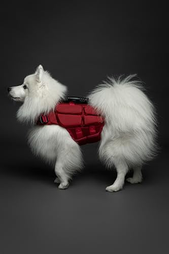 NOAH & PAW Dog Life Jacket, Human Standards Lifejacket Design, Dog Life Vest for Swimming and Boating, 3X Foam Support for Max Floating, Breathable Mesh, Salvavidas para Perros, Size S - size: S