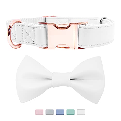Soft Leather Bowtie Dog Collar - Adjustable Cute Bow Tie Collar [Easy to Clean] with Stylish Rose Gold Heavy Duty Metal Buckle for Small Medium Large Dogs White M - color: White, size: M(13.8"-19.7")