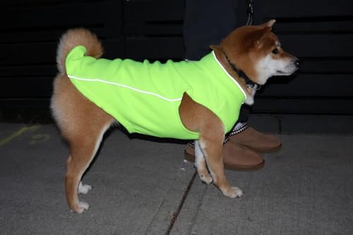 JACKO & CO - Fleece Vest Dog Sweater with Leash Ring - Soft, Warm & Lightweight Pullover Coat for Small & Medium Dogs, Puppies & Cats - Cozy Fall/Winter/Spring Pet Jacket (Neon Green, XS 2-4lbs) - color: Neon Green, size: XS (2-4lbs)