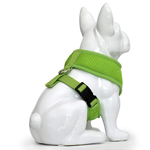 EcoBark Dog Harness - Eco-Friendly Max Comfort Harnesses - Luxurious Soft Mesh Halter - Over the Head Harness Vest- No Pull and No Choke for Puppy, Toy Breeds & Small Dogs (Small, Green) - color: Green