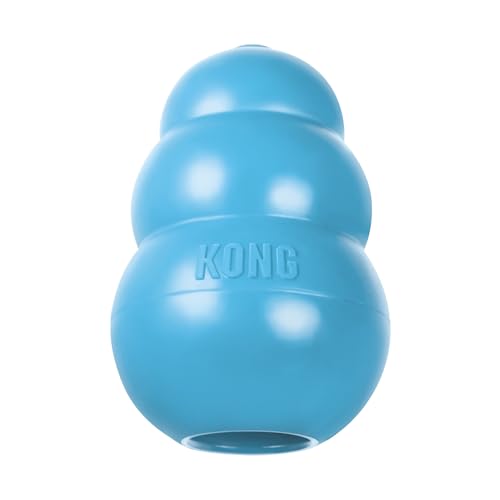 KONG - Puppy Toy - Natural Teething Rubber - Fun to Chew, Chase and Fetch ( Colors May Vary) - color: Blue, size: Large (Pack of 1)