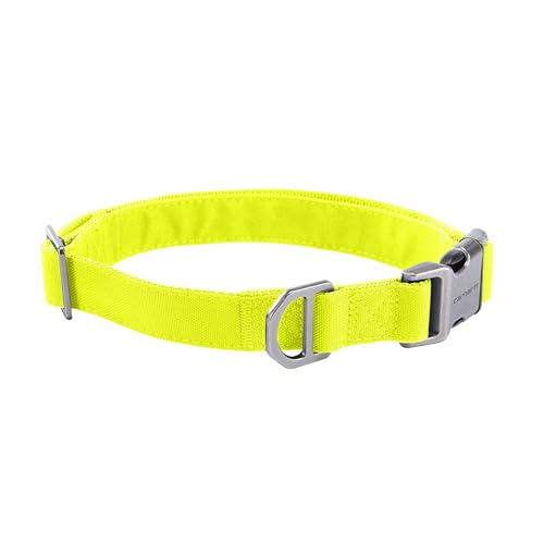 Carhartt Field Dog Collar, Fully Adjustable, Durable 600-Denier Fabric W/Reflective Wordmark for Visibility, Brite Lime, Medium - color: Brite LIme, size: Medium