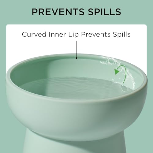 Necoichi 2pcs Elevated Cat Water Bowls with Measurement – BPA-Free Plastic Raised Bowls to Reduce Whisker & Neck Fatigue – Dishwasher Safe – Non-Slip, Anti-Vomiting (Ocean Mist) - color: Blue Green and Green (Ocean Mist)