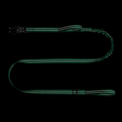 ICEFANG Relfective Dog Leash for Medium Large Dogs,K9 Training Walking Lead with Double Handle,Heavy Duty Auto-Lock Metal Clasp (6ft, Teal) - color: Teal, size: 6 ft (No bungee)