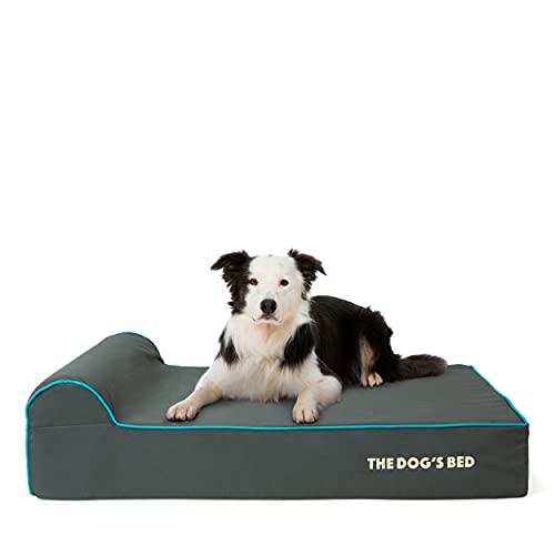 The Dog’s Bed Orthopedic Memory Foam Dog Bed with Headrest, Calming Surface – CertiPUR-Certified Foam, Oxford Fabric, Grey with Blue Trim, Large, 6-Inch - color: Grey with Blue Trim, size: Large (6" deep)