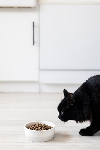 Pearhead Ceramic Paws Off Cat Bowl, Holds 12 oz, Whisker-Friendly Pet Dish for Food and Water, Heavy Non-Slip Base - color: Gray "Paws Off", size: Single Bowl