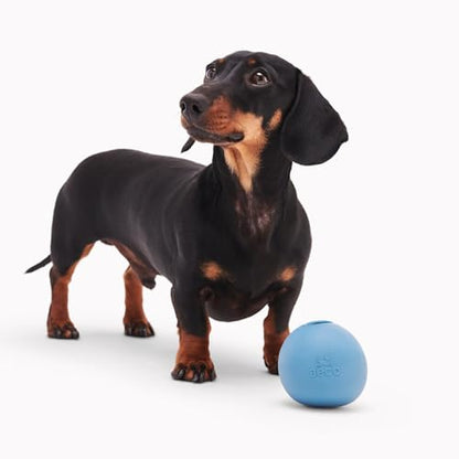 Beco Natural Rubber Wobble & Stuffable Ball Fetch Dog Toy, Perfectly Crafted for Endless Fun, Interactive Bouncing, and Treat-Dispensing Challenges. Suitable for All Dog and Puppy Size, Blue