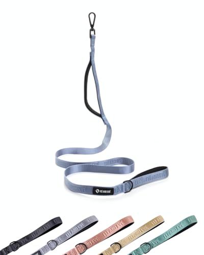 Classic Dog Leash - 6FT, Dual Padded Handles, 360° Swivel Hook, Heavy Duty 210D Nylon - No-Pull Design with Traffic Control Handle - for Small/Medium/Large Dogs, Sky Blue - color: Sky Blue, size: 6FT