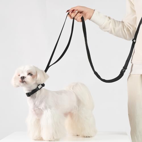 All-Weather Dog Collar Reflective Adjustable Soft Nylon QR Code Anti-Lost Collar Breathable with Quick-Release Buckle Patent Alloy Ring for Small Medium Large Dog (Light-Olive, M) - color: Light-Olive, size: M