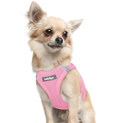 rabbitgoo Small Dog Harness, Step-in Soft Mesh Puppy Vest with Safety Buckle, Breathable Reflective Pet Harness for Extra Small Dogs, Light Pink XXXS - color: Light Pink, size: Xxxs(chest:10.8"-11.8")