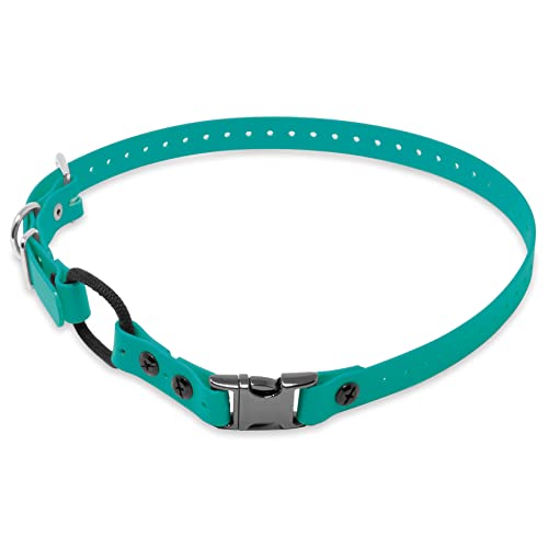 Educator 3/4" Quick Snap Bungee Dog Training Collar Strap – Fits ME-300, ET-300/400, EZ-900, PE-900 & PG-300 Receivers – Trim-to-Fit 33" Biothane – Not Compatible with FE-580, ET-800 or UL-1200,Teal - color: Teal