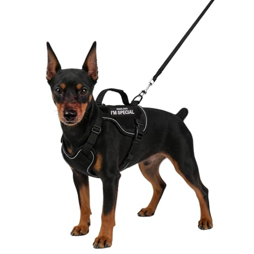 Tactical Dog Harness and Leash Set for Small Dogs - Military Puppy Vest Harness with Patches Vertical Handle Reflective Pet Harness for Walking Hiking Outdoor Training (Black, XXXS) - size: Xxxs
