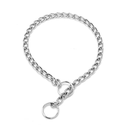 Silver Dog Chain Collars,Metal Slip Link P Chain Training Heavy Duty Male Boys Martingale Collar Female Girls Puppy Collars for XXS XS Small Medium Large Big Breed,M - color: Silver, size: M(Neck Max 18inch)D3mm