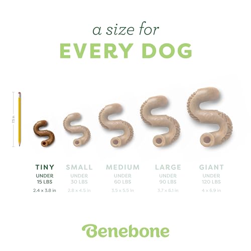 Benebone Tiny 2-Pack, Tripe Bone Durable Dog Chew Toy for Aggressive Chewers, Real Tripe, Made in USA - size: Tiny 2-Pack, style: Chew Toy