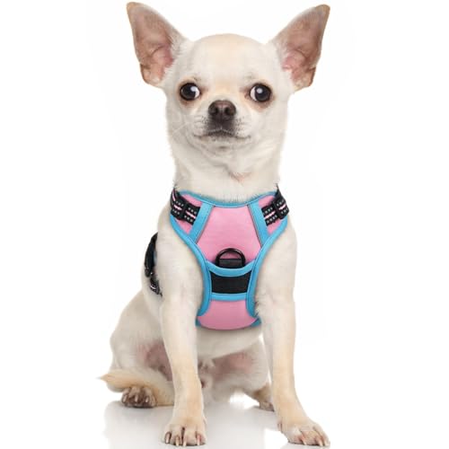 rabbitgoo Dog Harness No Pull with 2 Leash Clips, Adjustable Soft Padded, Reflective Oxford No Choke Pet Vest with Easy Control Handle for Puppy, Pink & Blue, XS - color: Pink & Blue, size: X-Small