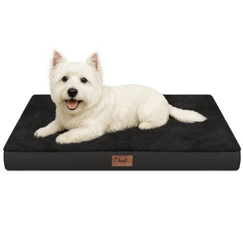 Comfort Dog Bed for Small Dogs & Cats, Waterproof Dog Crate Mat Orthopedic Egg Crate Foam with Washable Removable Cover, Black - color: Pure Black, size: 23.0"L x 17.0"W x 2.5"Th